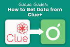 How to Get Your Clue Data into Guava