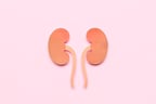 How Do Kidneys Work? Understanding Kidney Function & Health