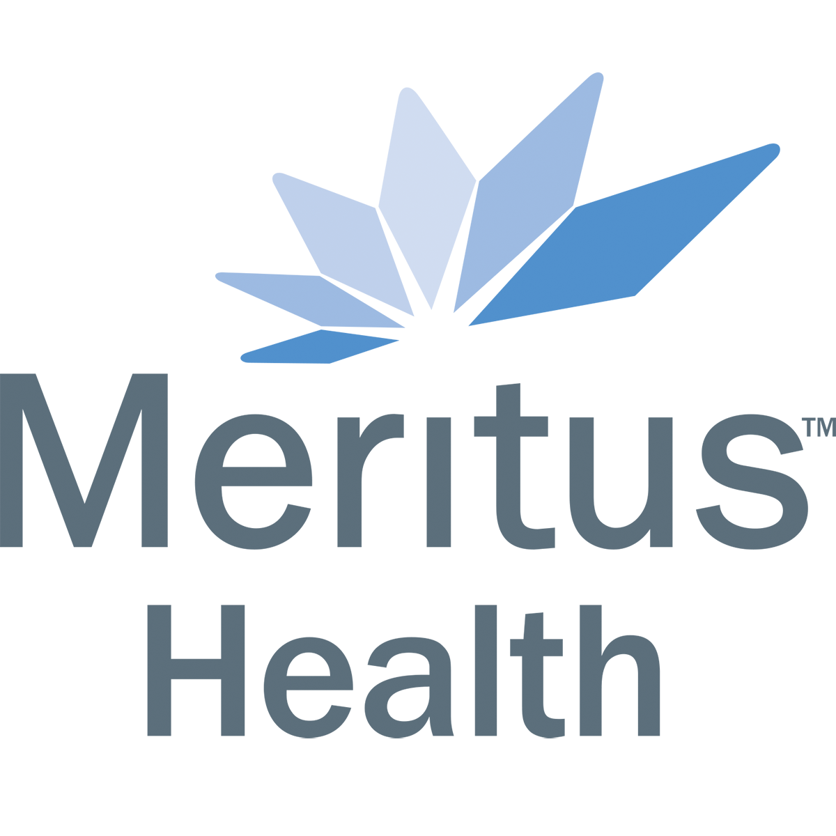 Meritus logo icon