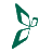 United Health Services New York (NYUHS) logo icon
