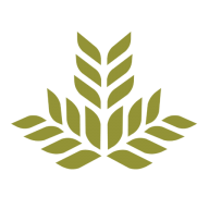 Northeast Georgia Health System logo icon