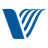 Valley Health System (VA) logo icon