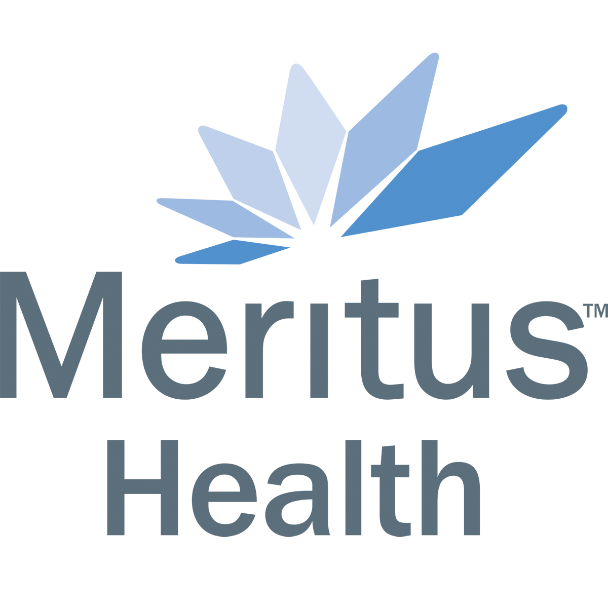 Meritus logo icon